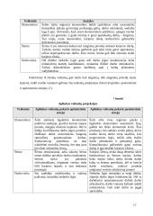 Įmonės personalo organizavimo procesai 17 puslapis
