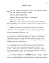 Įmonės praktikos analizė: UAB "Vėjas" 3 puslapis
