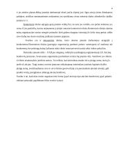 Įmonės praktikos analizė: UAB "Vėjas" 4 puslapis