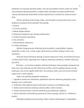 Įmonės praktikos analizė: UAB "Vėjas" 6 puslapis