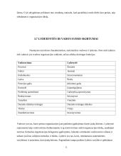 Lyderystė ir vadovavimas. Verslo psichologijos projektinis darbas 11 puslapis