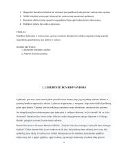 Lyderystė ir vadovavimas. Verslo psichologijos projektinis darbas 3 puslapis