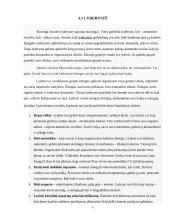 Lyderystė ir vadovavimas. Verslo psichologijos projektinis darbas 5 puslapis