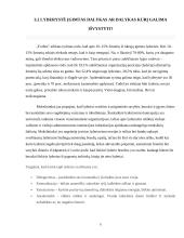 Lyderystė ir vadovavimas. Verslo psichologijos projektinis darbas 7 puslapis