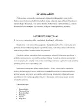 Lyderystė ir vadovavimas. Verslo psichologijos projektinis darbas 9 puslapis