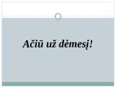 Klasikinė vadybos mokykla (skaidrės) 11 puslapis