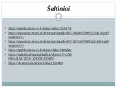 Klasikinė vadybos mokykla (skaidrės) 10 puslapis