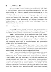 Populiariausios bulvių veislės 2 puslapis