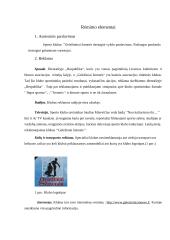 Įmonės rėmimo elementų naudojimas rinkoje: sporto klubas "Geležiniai žmonės" 4 puslapis