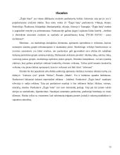 Įmonės rėmimo komplekso analizė: UAB "Žygio batai" 13 puslapis