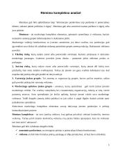 Įmonės rėmimo komplekso analizė: UAB "Žygio batai" 5 puslapis