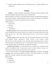 Įmonės rėmimo komplekso analizė: UAB "Žygio batai" 7 puslapis