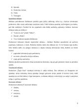 Įmonės rėmimo komplekso analizė: UAB "Žygio batai" 8 puslapis