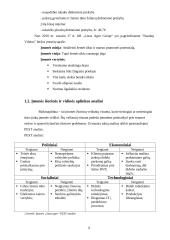 2019-2022 įmonės „Linas agro“ veiklos analizė 6 puslapis