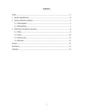 Įmonės rinkodaros analizė: prekyba apdailos medžiagomis 2 puslapis