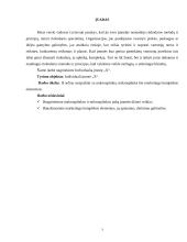 Įmonės rinkodaros analizė: prekyba apdailos medžiagomis 3 puslapis