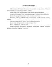 Įmonės rinkodaros analizė: prekyba apdailos medžiagomis 4 puslapis