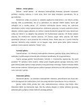 Įmonės rinkodaros analizė: prekyba apdailos medžiagomis 6 puslapis