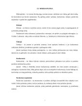 Įmonės rinkodaros analizė: prekyba apdailos medžiagomis 7 puslapis