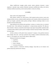 Įmonės rinkodaros analizė: prekyba apdailos medžiagomis 10 puslapis