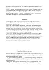 Dilgėlių pluošto gamybos investicinis planas 3 puslapis