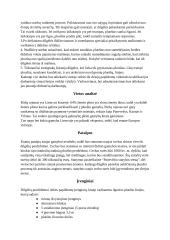 Dilgėlių pluošto gamybos investicinis planas 4 puslapis