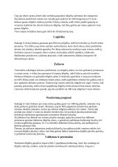 Dilgėlių pluošto gamybos investicinis planas 5 puslapis