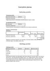 Dilgėlių pluošto gamybos investicinis planas 7 puslapis
