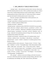 Įmonės rodiklių įvertinimas investuotojo požiūriu: APB "Apranga" 4 puslapis