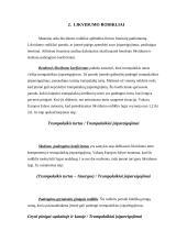 Įmonės rodiklių įvertinimas investuotojo požiūriu: APB "Apranga" 6 puslapis