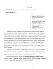 Įmonės santykiai su draudimo organizacijomis 3 puslapis