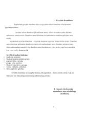 Įmonės santykiai su draudimo organizacijomis 5 puslapis