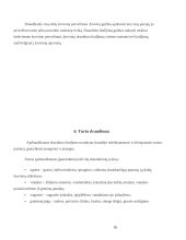 Įmonės santykiai su draudimo organizacijomis 10 puslapis