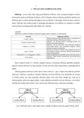 Infliacija Lietuvoje 2019 - 2021 metais 3 puslapis