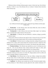 Infliacija Lietuvoje 2019 - 2021 metais 4 puslapis