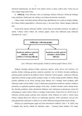 Infliacija Lietuvoje 2019 - 2021 metais 5 puslapis
