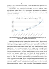 Infliacija Lietuvoje 2019 - 2021 metais 9 puslapis