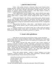 Įmonės steigimas: jaunimo nakvynės namai UAB "Žilvytis" 3 puslapis