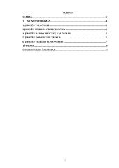 Įmonės steigimas: UAB "Slenis" 2 puslapis