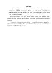 Įmonės steigimas: UAB "Slenis" 9 puslapis