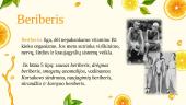 Skaidrės. Vitaminai ir mineralai 13 puslapis