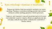 Skaidrės. Vitaminai ir mineralai 3 puslapis