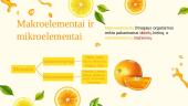 Skaidrės. Vitaminai ir mineralai 10 puslapis