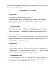 Įmonės strategijos kūrimas 12 puslapis