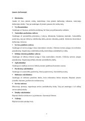 Įmonės strategijos kūrimas 7 puslapis