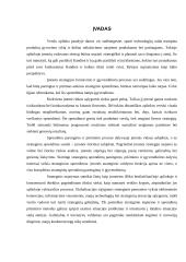 Įmonės strategijų formavimas 2 puslapis