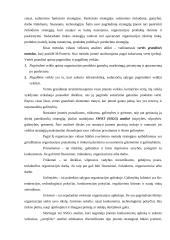 Įmonės strategijų formavimas 12 puslapis