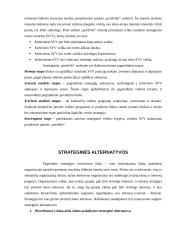 Įmonės strategijų formavimas 13 puslapis