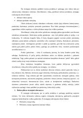 Įmonės strategijų formavimas 14 puslapis