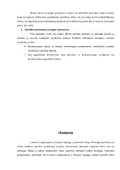 Įmonės strategijų formavimas 15 puslapis